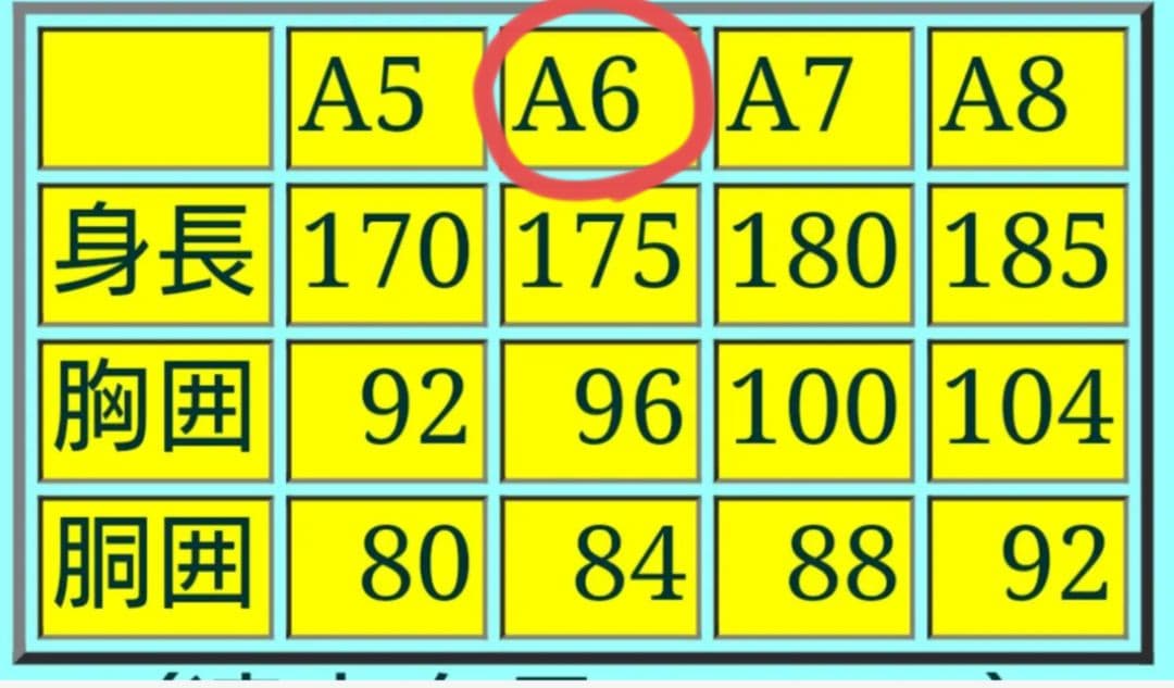 LANIFICIO DEL CASENTINO カシミヤ100% メンズコート
