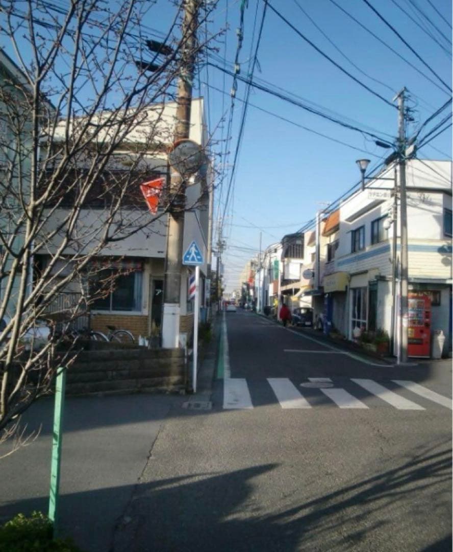 デジタルカメラ CASIO EXILIM ZOOM EX-Z250