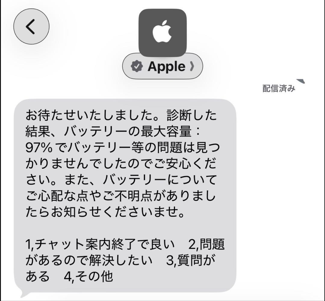 【超美品】 iPad mini 4 128 Wi-Fiセルラー バッテリー97%