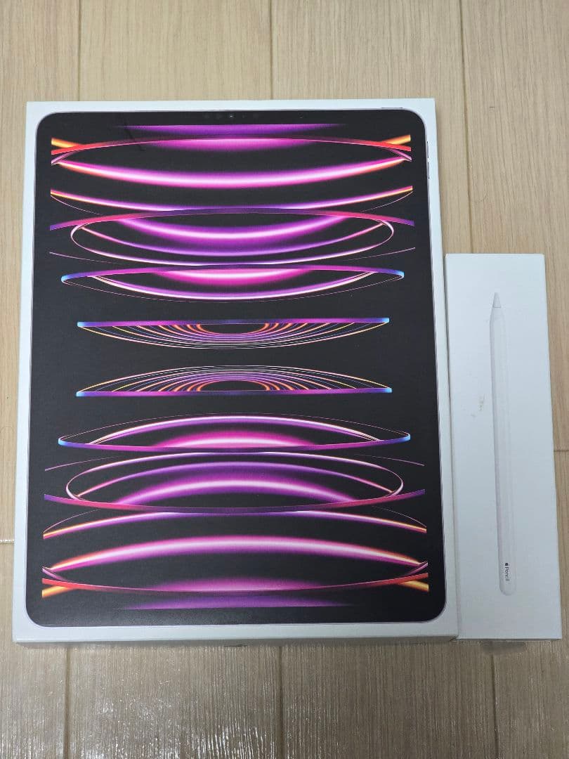 iPad Pro 12.9 第6世代 M2 256GB Wi-Fi ペン付き