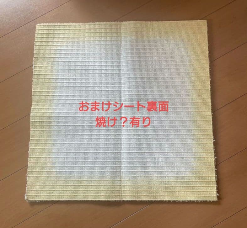 鳥ケージ HOEI35ケージ　アクリル＆木製ケース