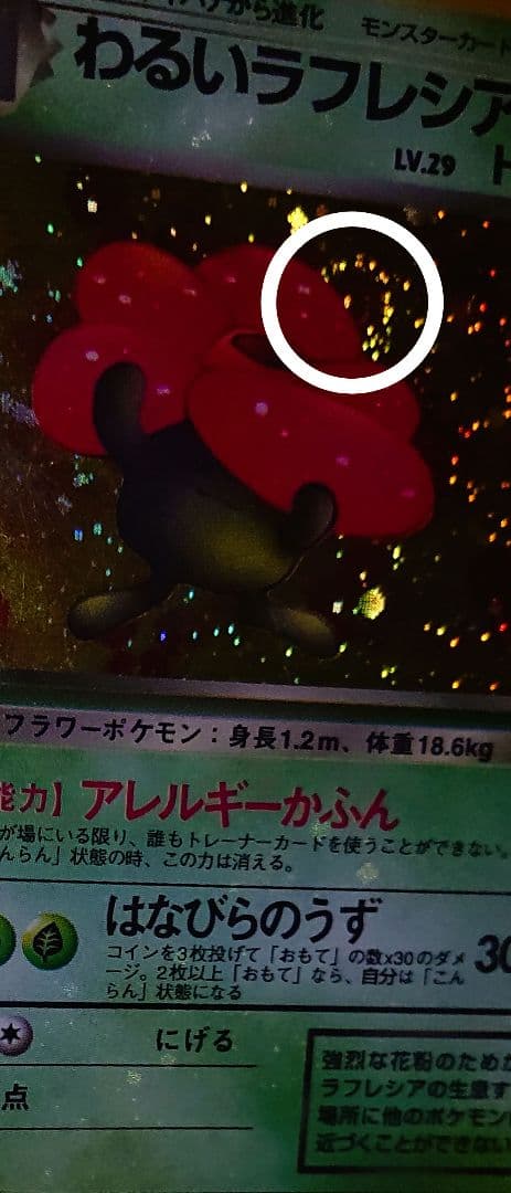 全面ホロ　ロケット団　渦巻き　キラ6枚