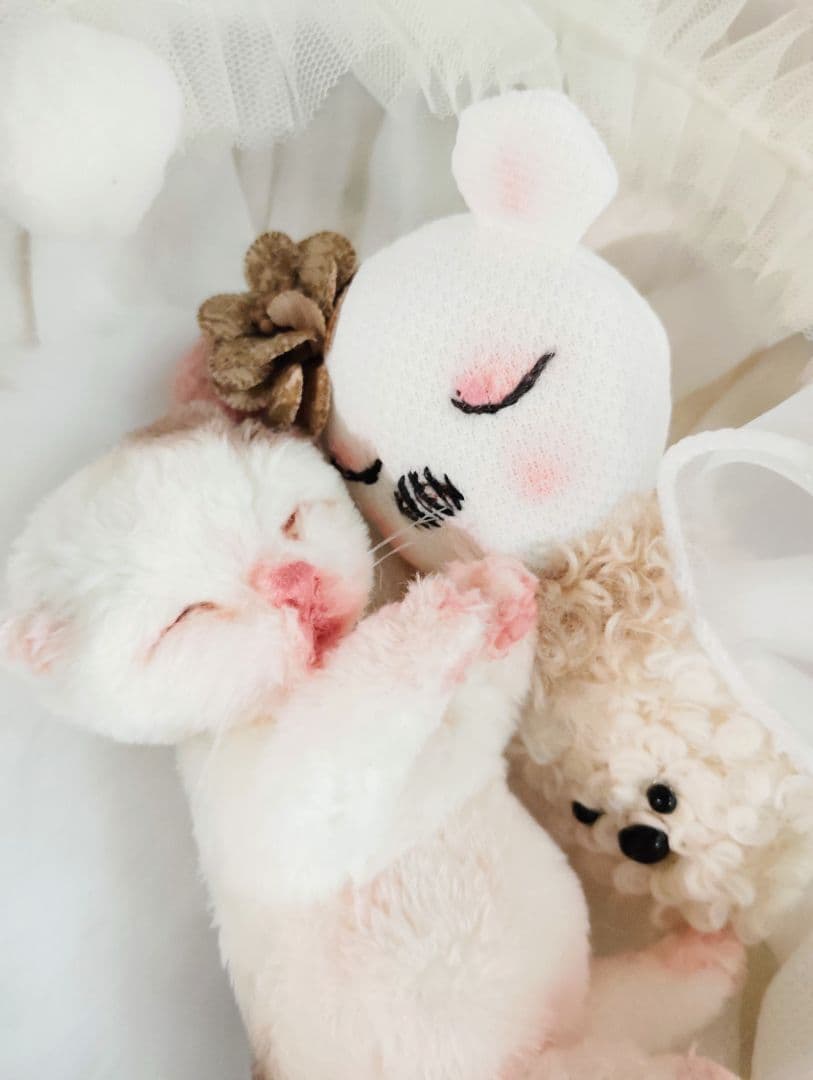 生後１日❤生まれたての子猫ちゃん♡バスケットとクマたん♡アートドール♡ぬいぐるみ