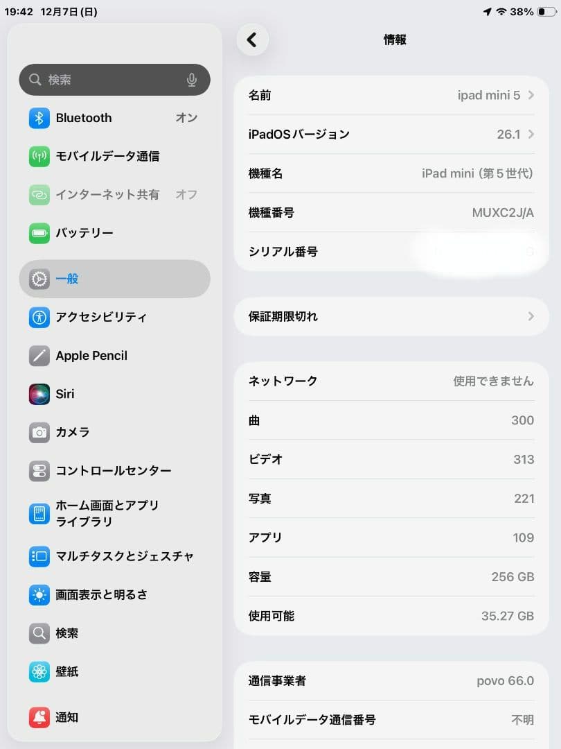 iPad mini 第5世代 Wi-Fi+Cellular 256GB