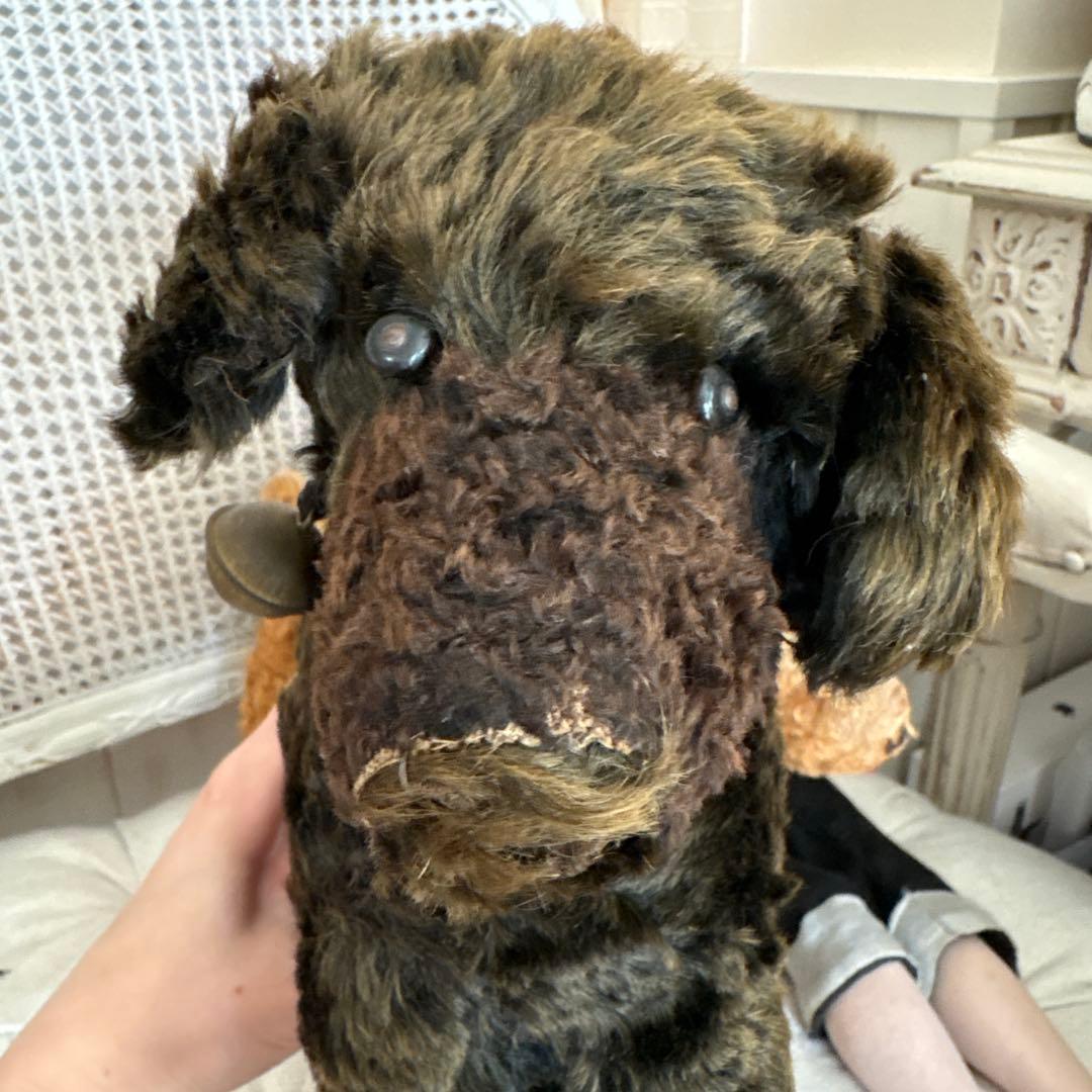 アンティーク 犬 アンティークテディベア アンティークベア フランスアンティーク