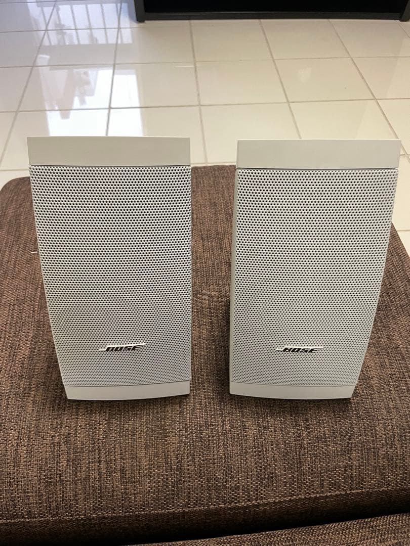 BOSE FreeSpace® DS 16S Loudspeaker