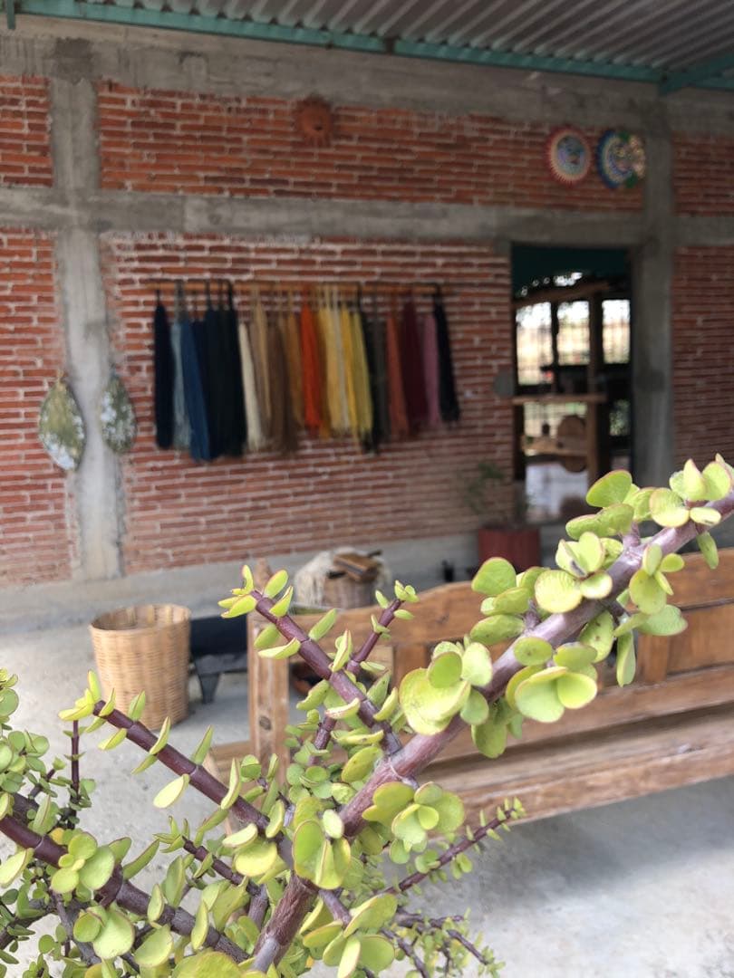 サポテックラグ　オアハカ　メキシコ　約100cm x 60cm