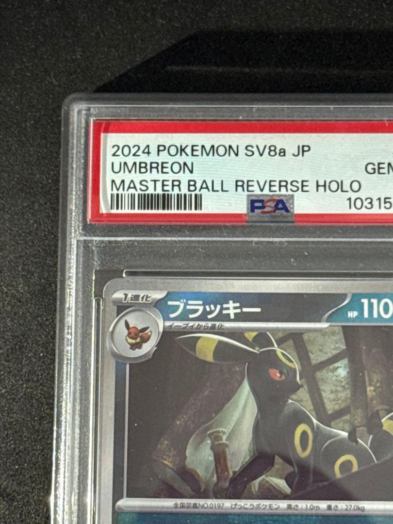 PSA10 ブラッキー マスターボールミラー テラスタルフェス ex