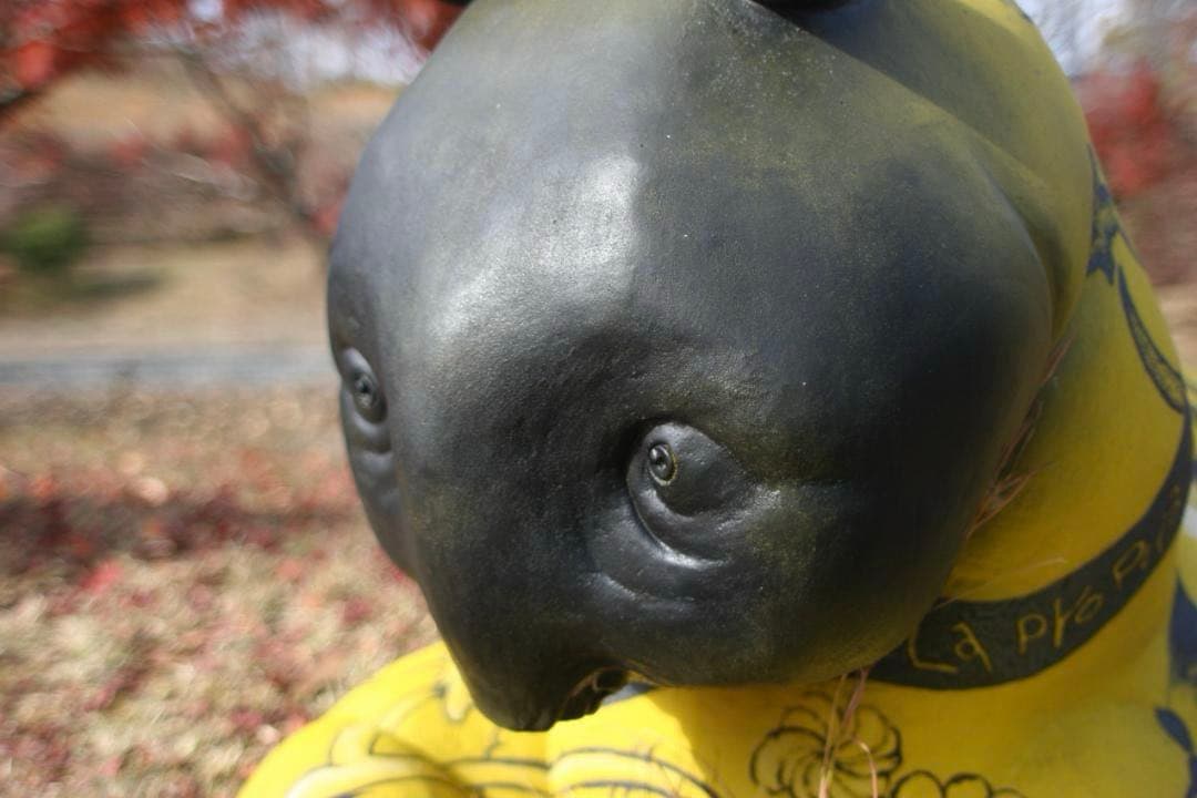 【試写済】Nikon Ai NIKKOR 24mm F2