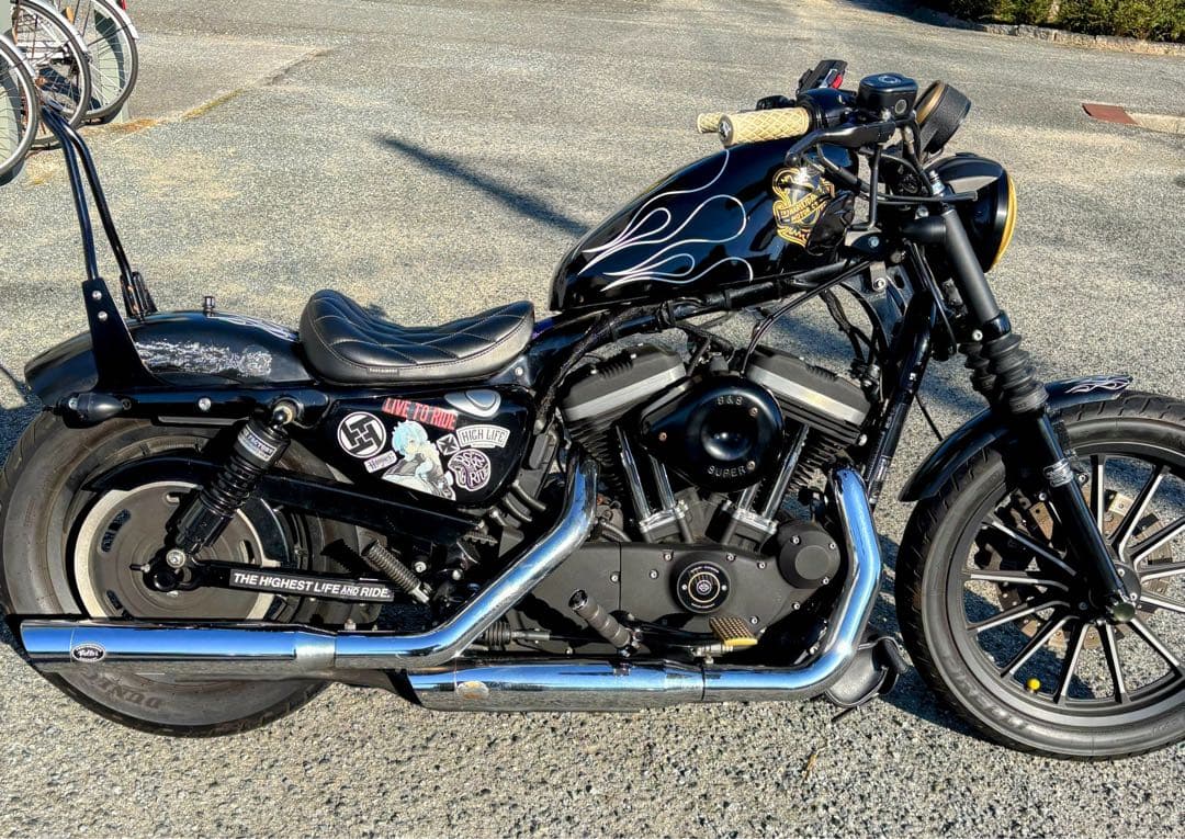 目玉 絶版 イージーライダース ダイアゴラムソロシート ハーレースポーツスター