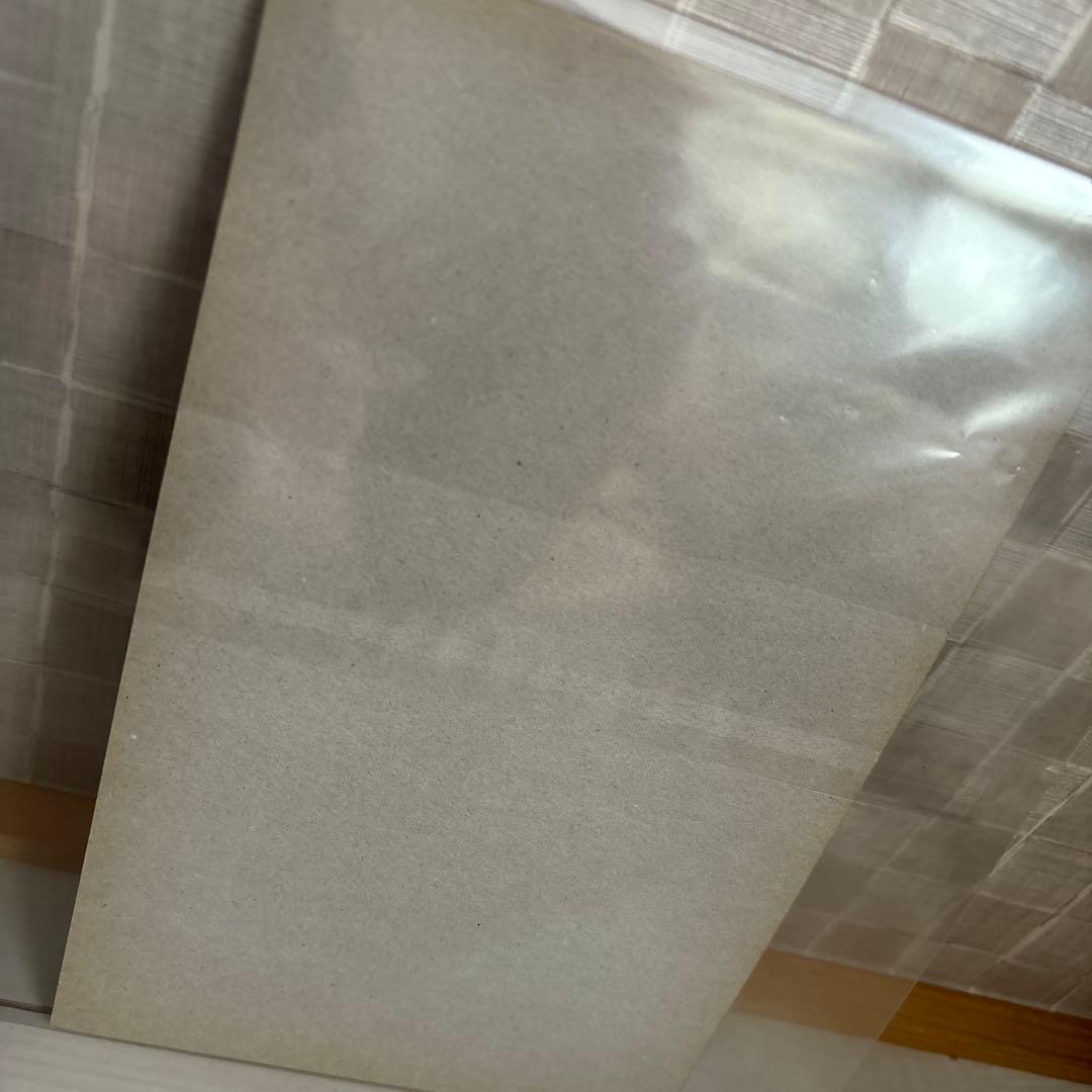 聖闘士星矢　海皇の野望　カードダス　専用　ディスプレイ　台紙　２０　１００　レア