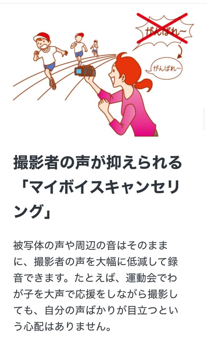 ビデオカメラ Sony HDR-CX675