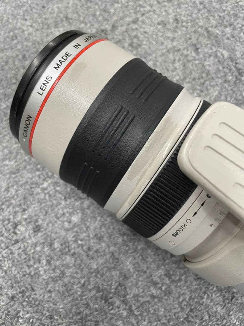 Canon EF35-350mm F3.5-5.6L USM｜高倍率ズームレンズ