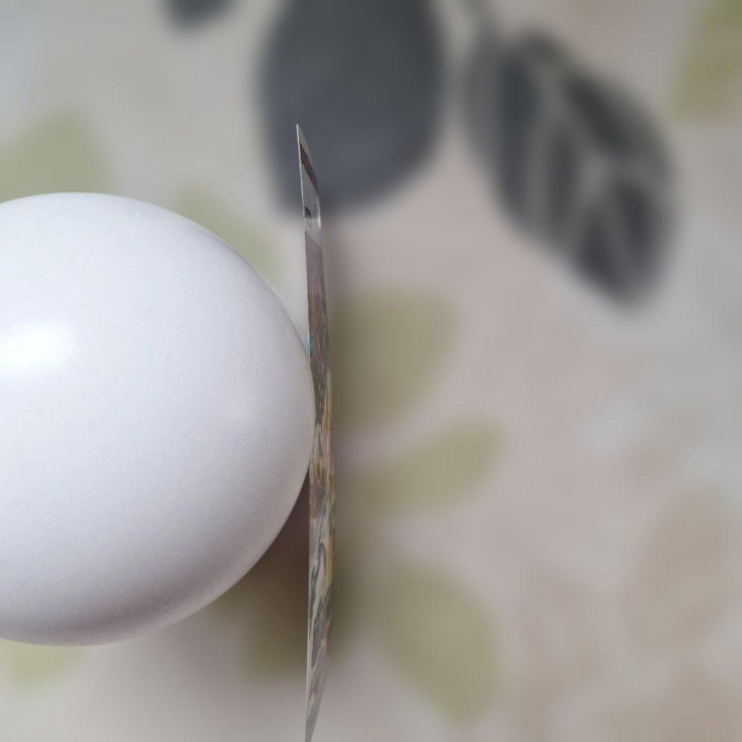 ダミーパッケージ ポケモンカードゲームDP 拡張パック 怒りの神殿 秘境の叫び