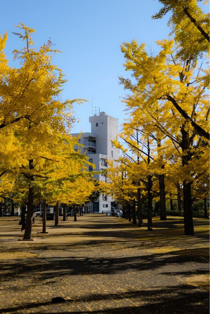 FUJIFILM X-H1 中古品で最安値