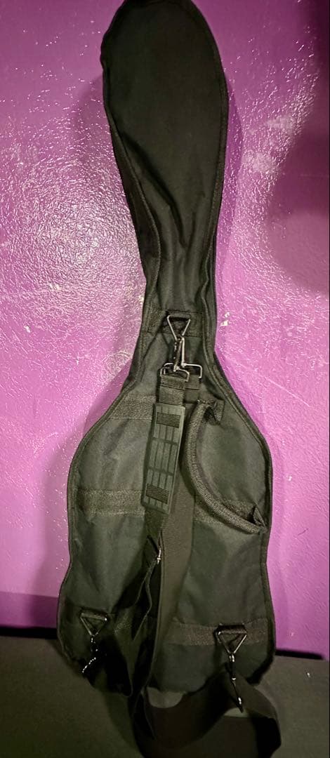 GrassRoots エレキギター