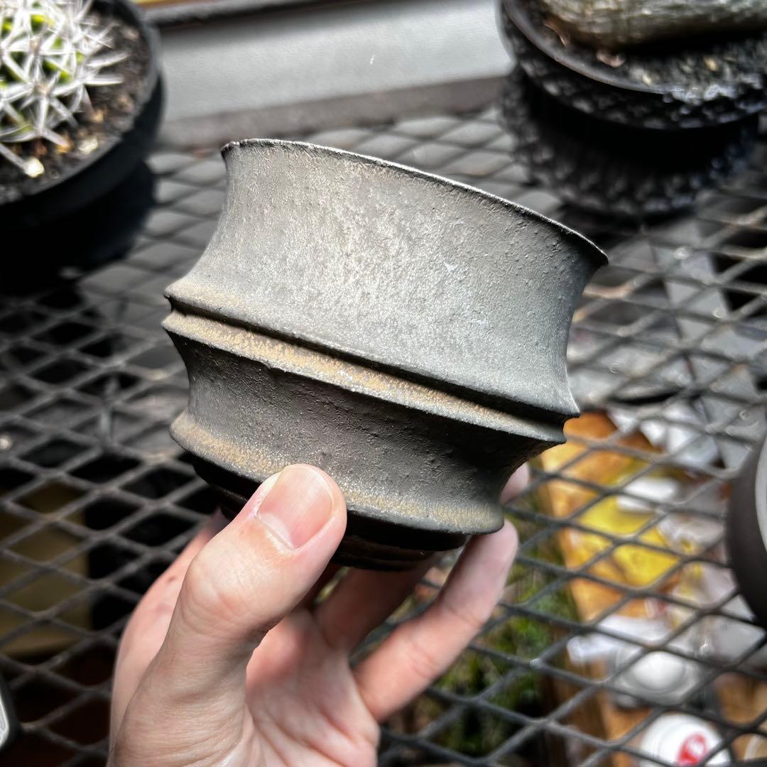 s*g様 小野瀬一　作家鉢　塊根植物