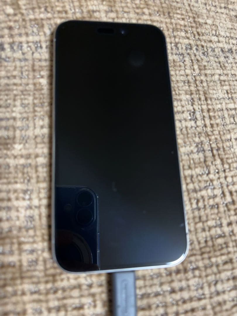 Apple iPhone 15Pro 256G ジャンク品
