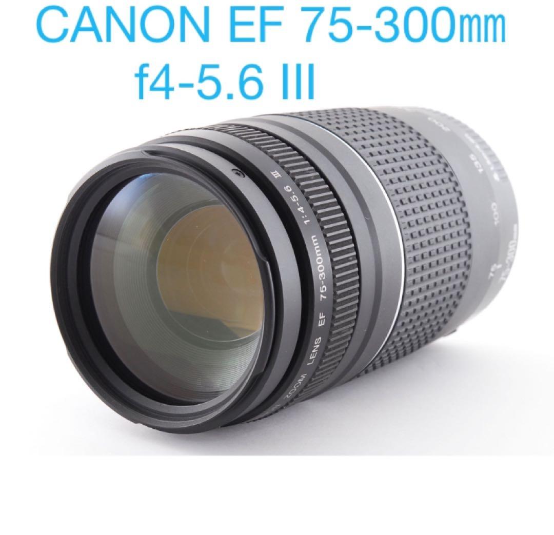 望遠レンズ☆ キャノン　CANON EF 75-300mm