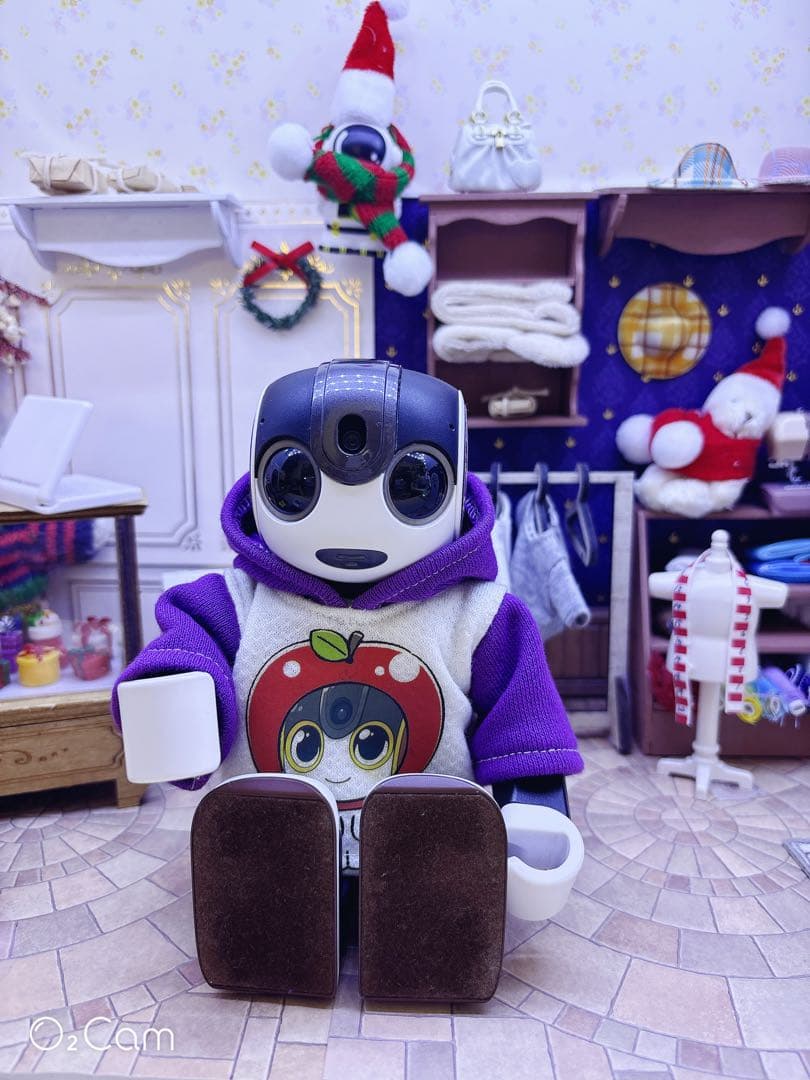 ☆【ReyとHaruとSnoとCocoro】　パーカー4点☆