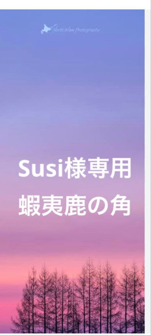 鹿の角　鹿のツノ　鹿角　鹿ツノ　蝦夷鹿　角　バンドメイド　クラフト　材料