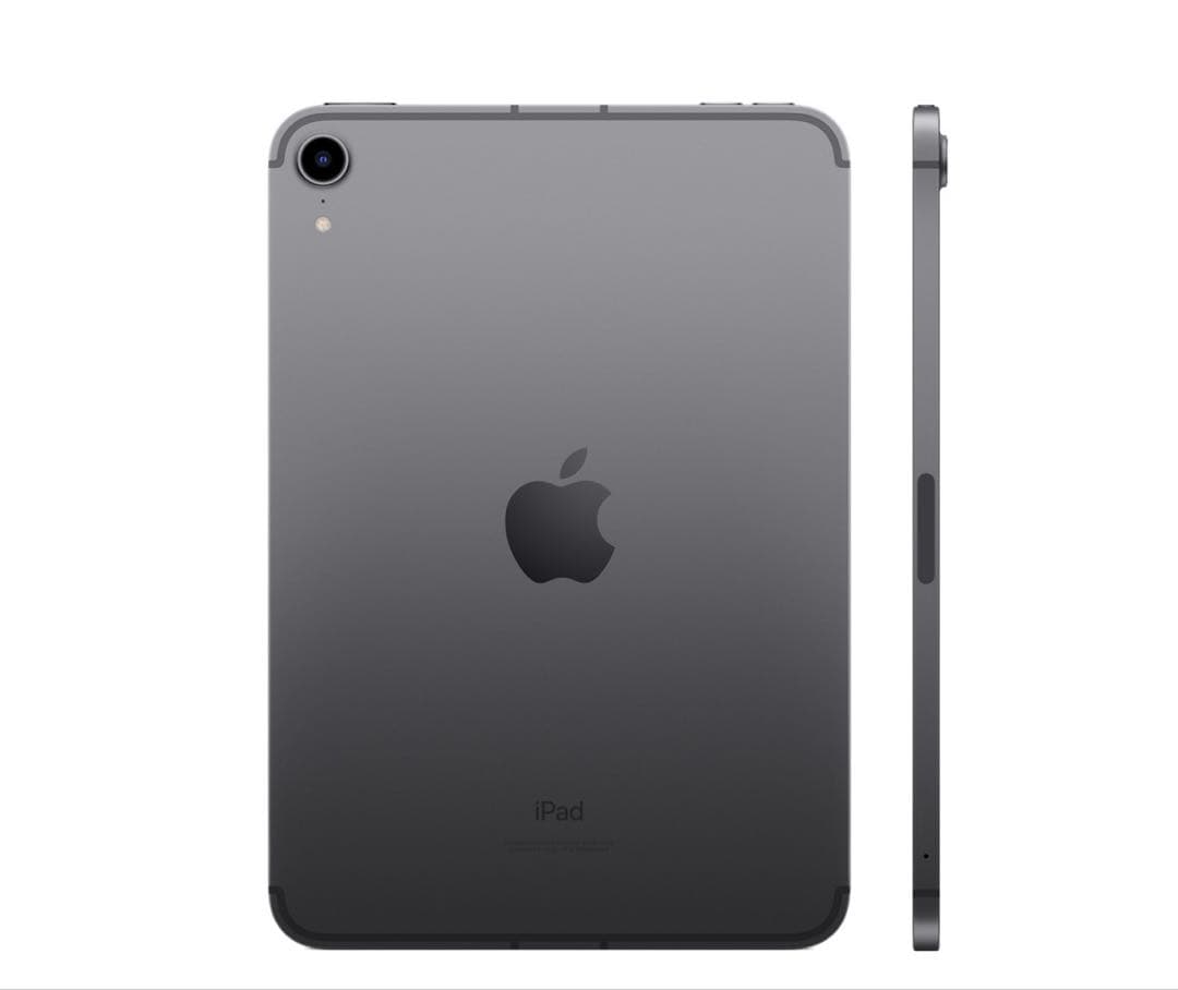 ipad mini 256GB （第6世代） apple pencil付き