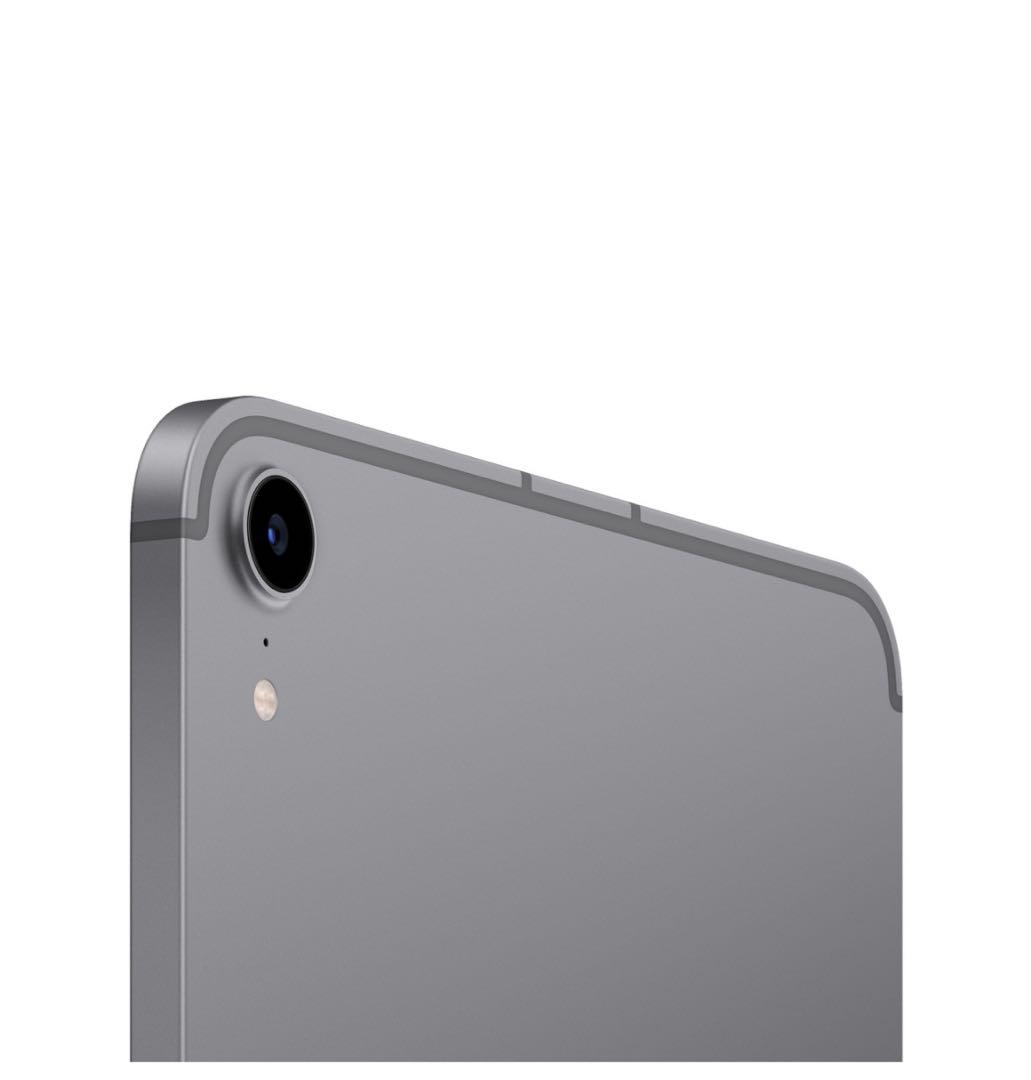 ipad mini 256GB （第6世代） apple pencil付き