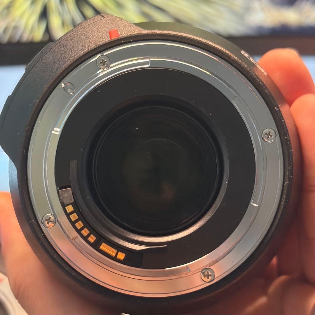 デジタルカメラ Canon Eos 6D +tamron sp24-70mm