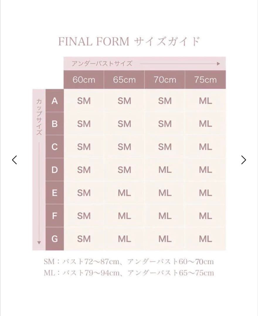 【yit-tks】 YVESJU FINAL FORM ブラジャー SM