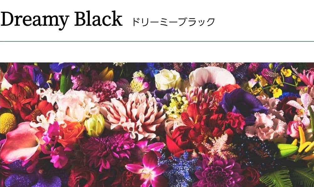 新品未開封 ドクターメソッド ガードルLL3枚＋ショーツLL 1枚 計4点