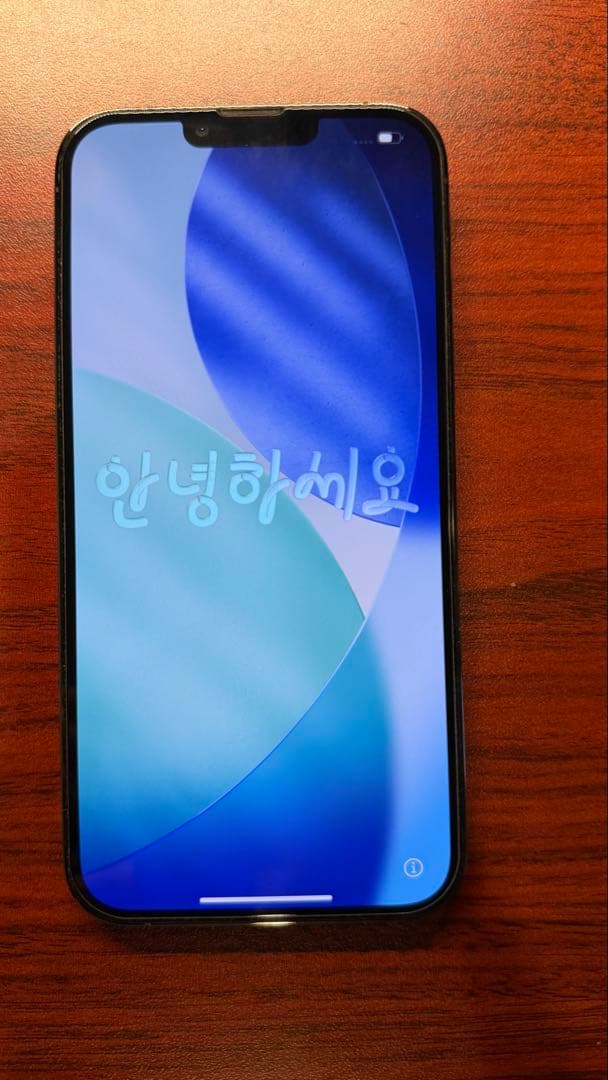 び*こ様 iPhone 13 Pro Max 128GB WiFi