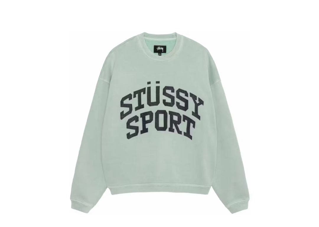 d*︎様 stussy Big Crackle Sport Crew
