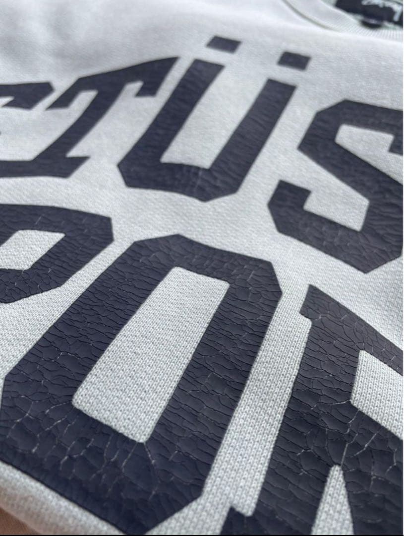 d*︎様 stussy Big Crackle Sport Crew