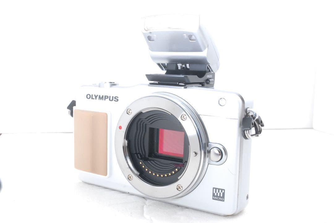 OLYMPUS PEN Mini E-PM2 ダブルズームキット内蔵フラッシュ付