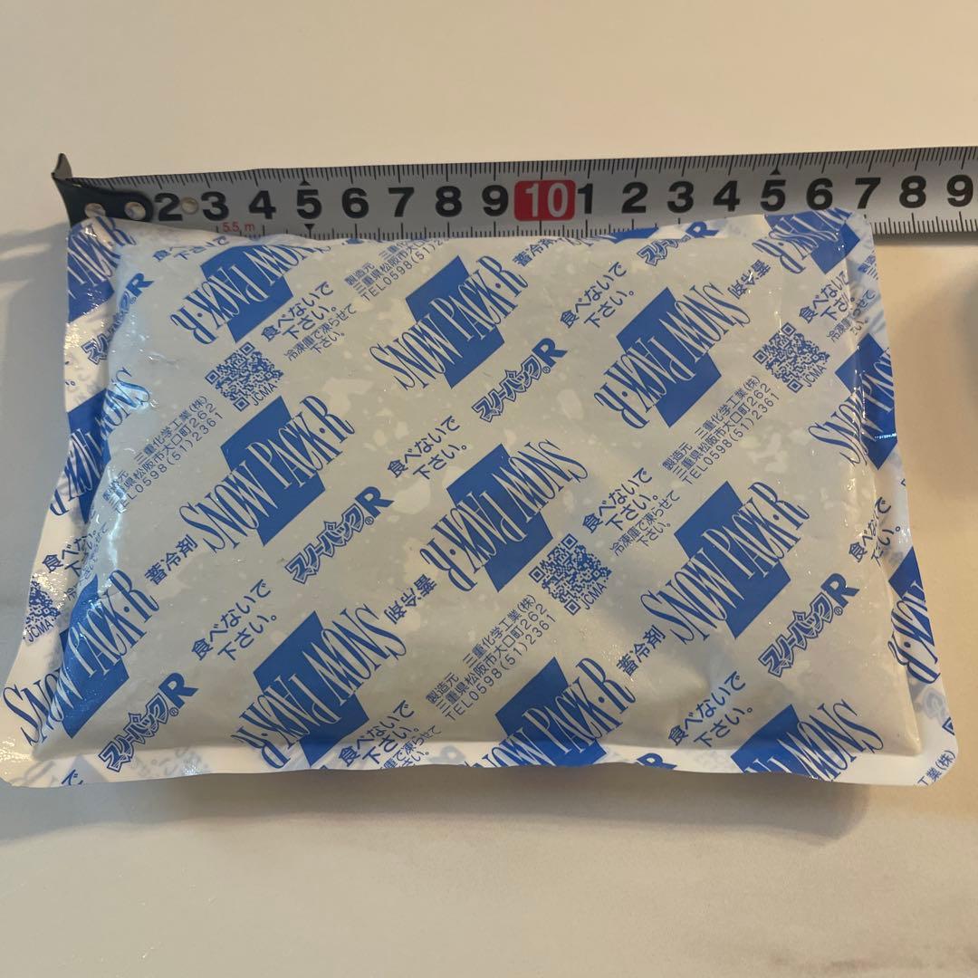 値下げ❗️冷え蔵ⅡEXポータブル クーラーEcoFlowWAVEラクール保冷剤付き