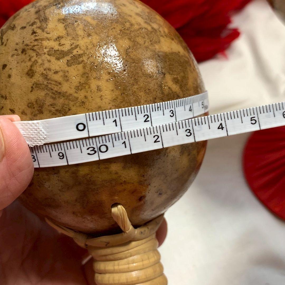 フラダンス ウリウリ 分離型 専用カバー付