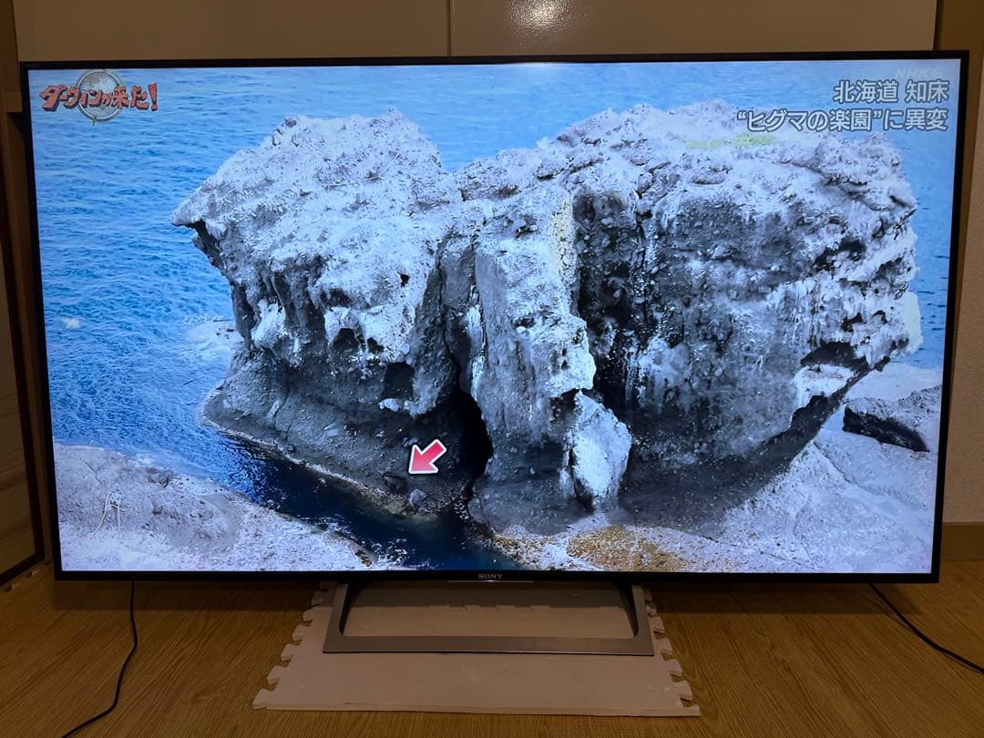 美品　ソニー　KJ-65X8500E 65型 2017年製⭕️4K スマートテレビ