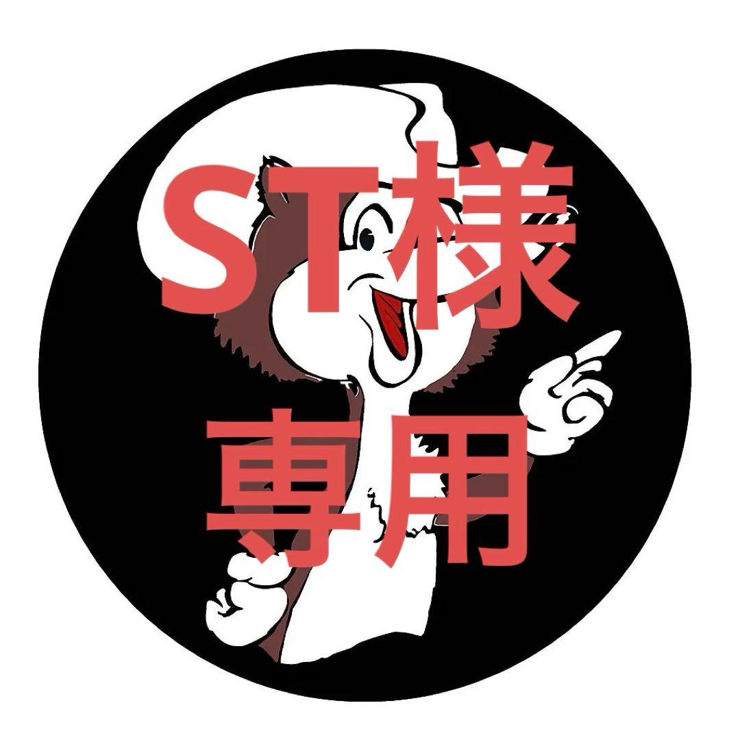 ST（3点）