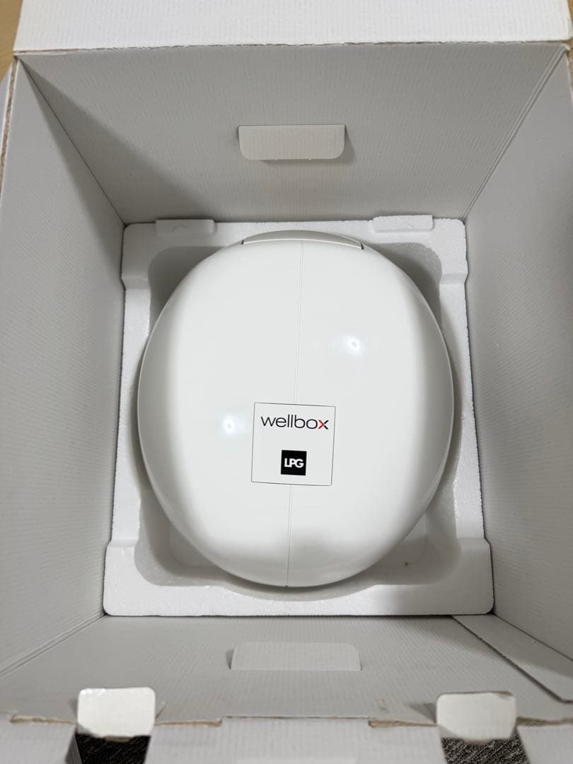 【ほぼ未使用】wellbox ウェルボック エンダモロジー 美顔器