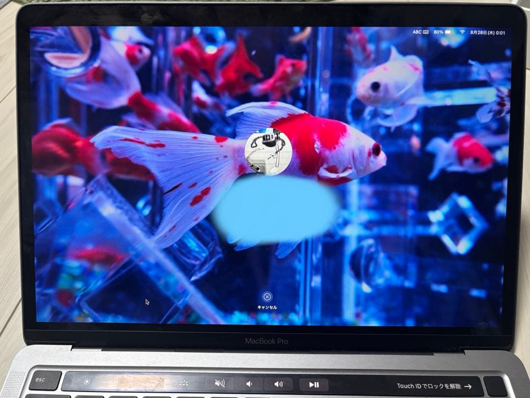 Macbook Pro 13(M1/512GB/16GB) 付属品完備　美品