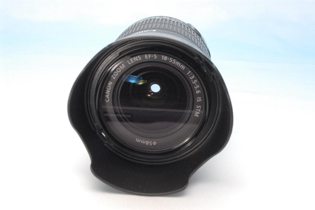 ✨初・中級者向け✨キヤノン EOS 8000D Wi-Fi 手振れ補正 高コスパ