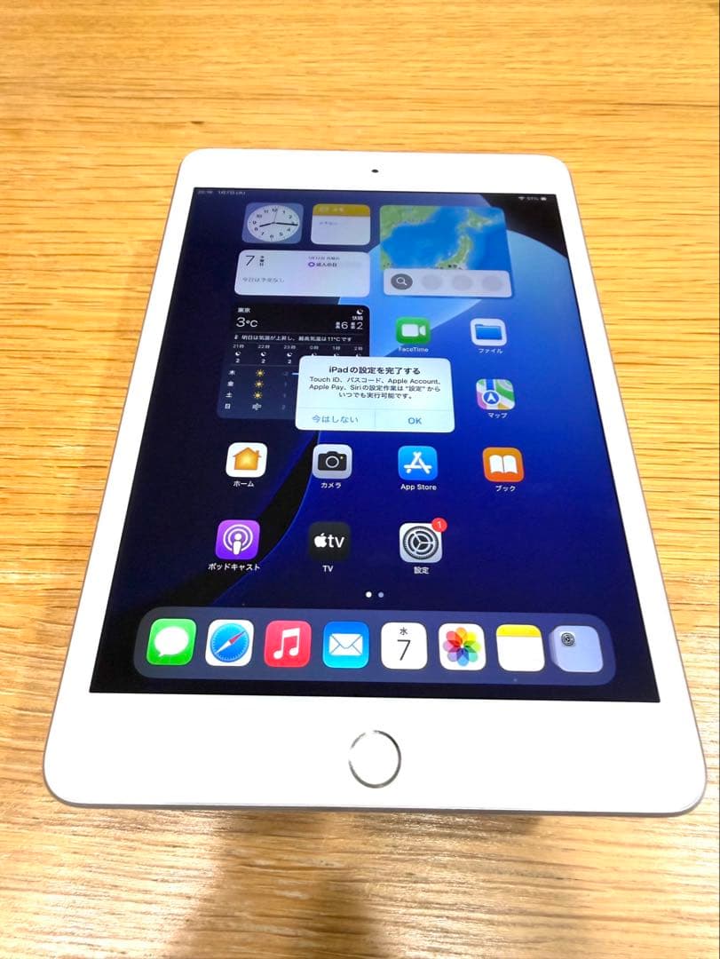 iPad mini 第5世代 Wi-Fi+Cellular 256GB シルバー