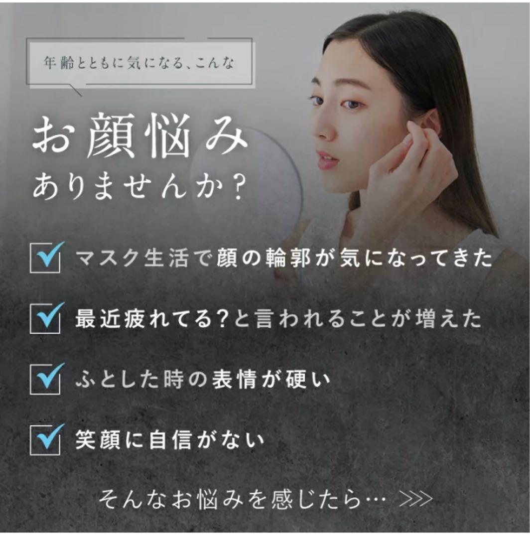 EMS電気ブラシ美顔器 【NIPLUX EMS LIFT BRUSH】超美品