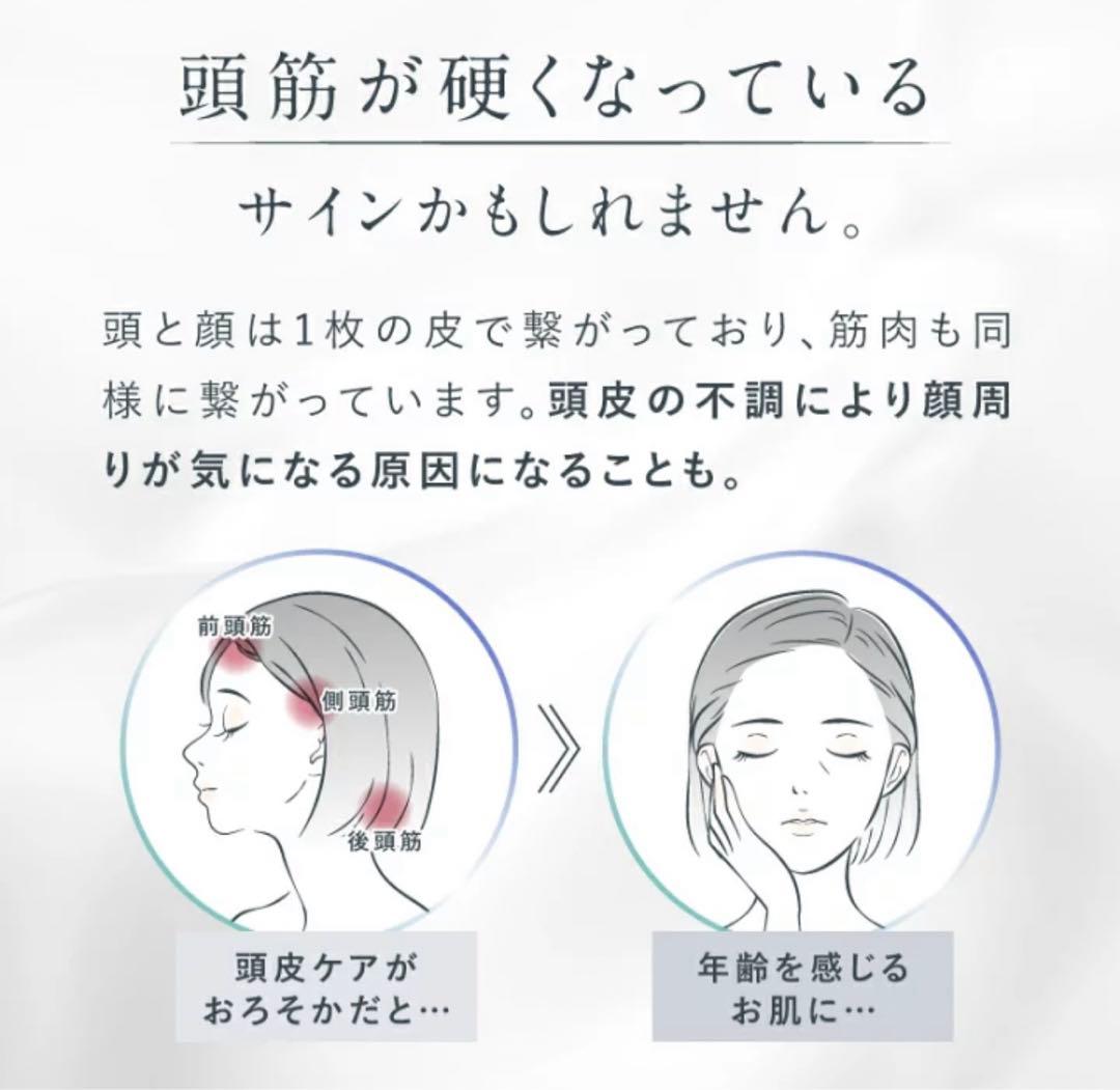 EMS電気ブラシ美顔器 【NIPLUX EMS LIFT BRUSH】超美品