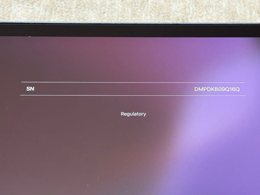 iPad Air WiFi 64GB スカイブルー