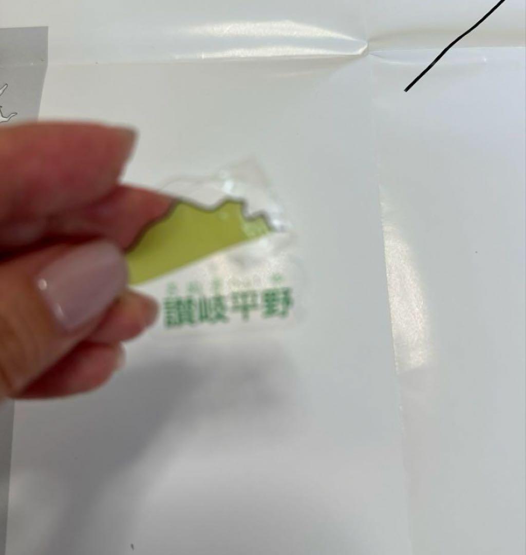 最終値下　スタディアップ　白地図ピース　中学受験　地理