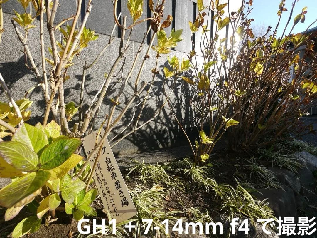 【早い者勝ち】Panasonic LUMIX DMC-GH1 ボディ