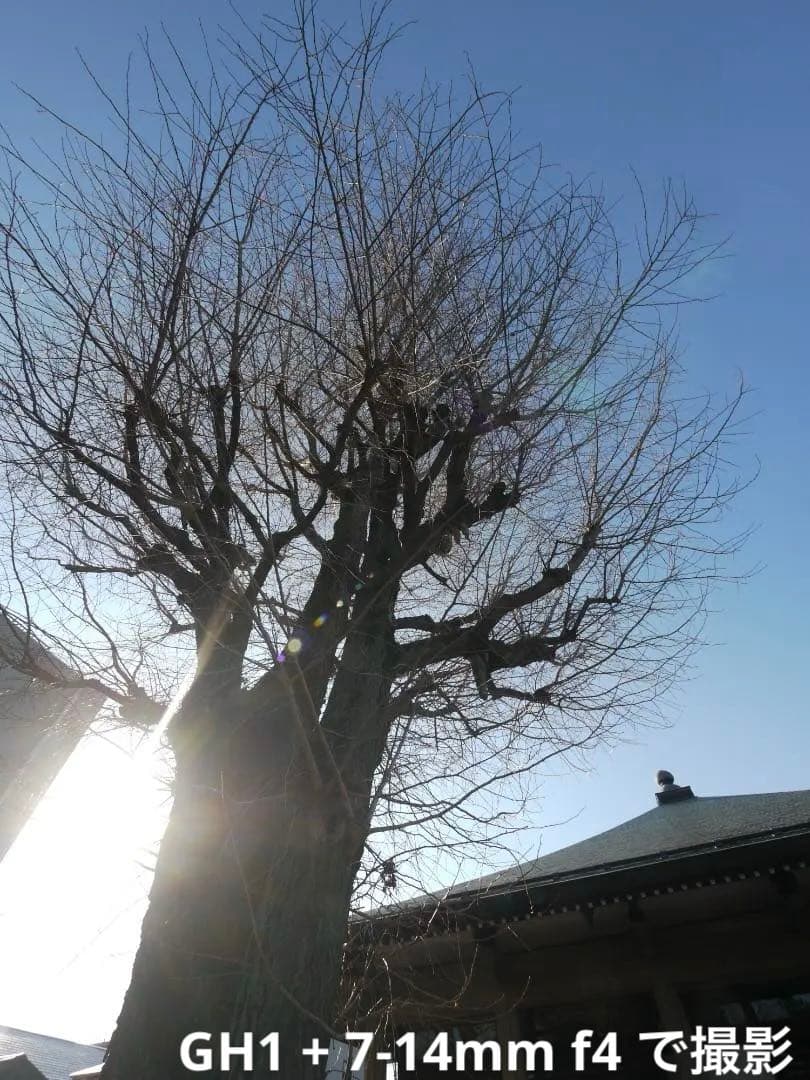 【早い者勝ち】Panasonic LUMIX DMC-GH1 ボディ