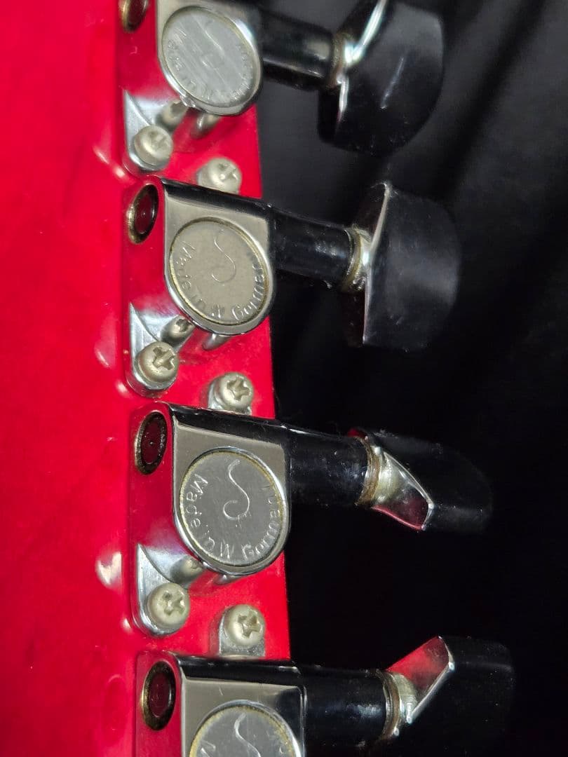 海*ん様 ESPカスタムオーダーギター