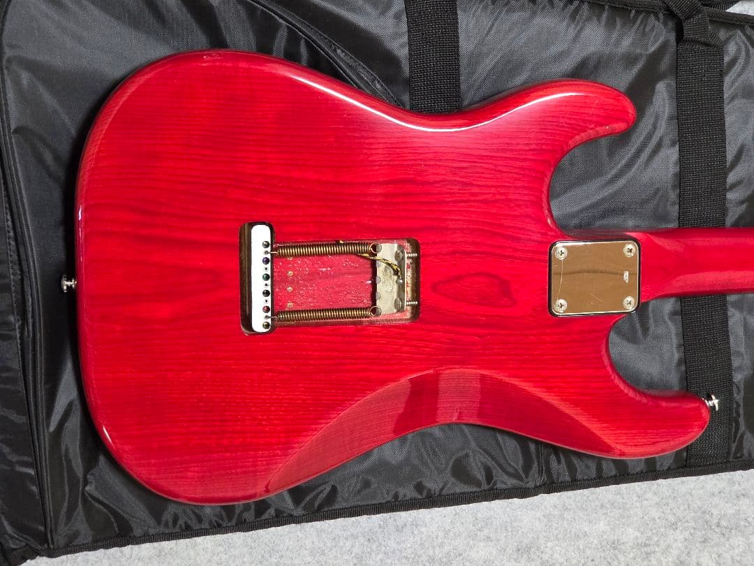 海*ん様 ESPカスタムオーダーギター